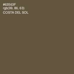 #63563F - Costa Del Sol Color Image